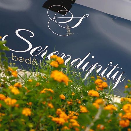 Serendipity B&B 墨西拿 外观 照片