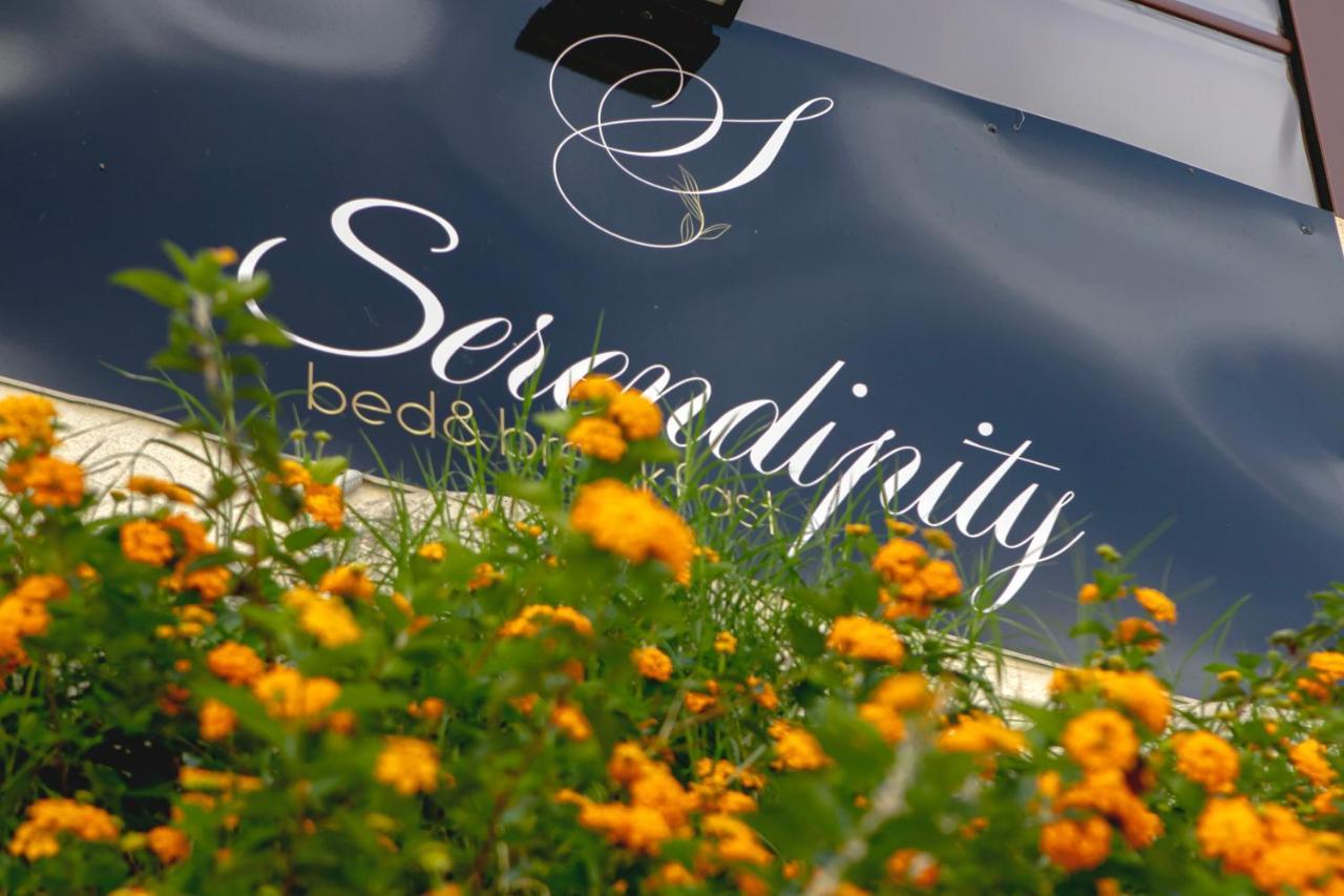 Serendipity B&B 墨西拿 外观 照片